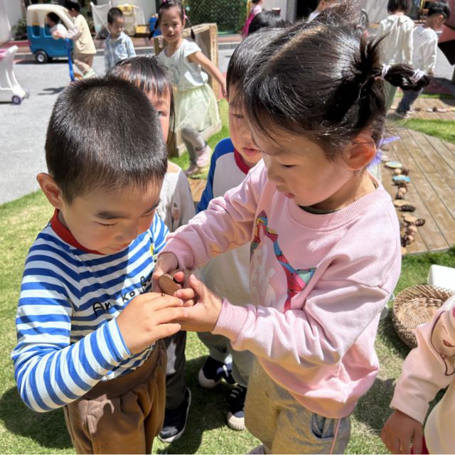 尊龙凯时上海长宁这家幼儿园太酷了孩子们自建的虫虫乐园“火”了(图5)